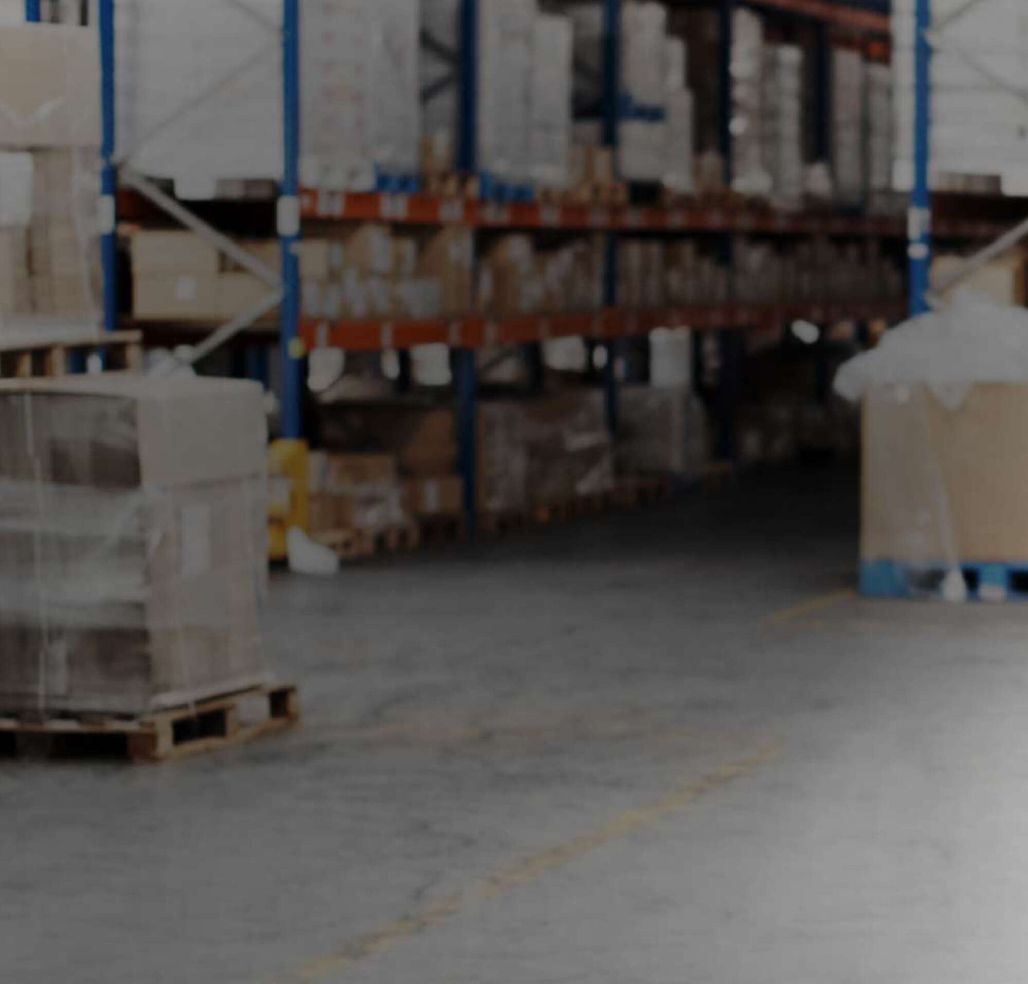 Man standing in a fully stocked warehouse.